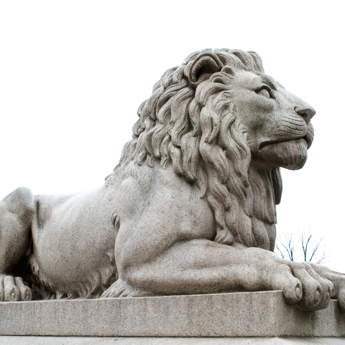 lions gate hospital pickup