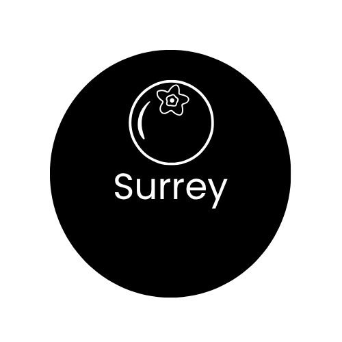 get picked up after surgery surrey bc