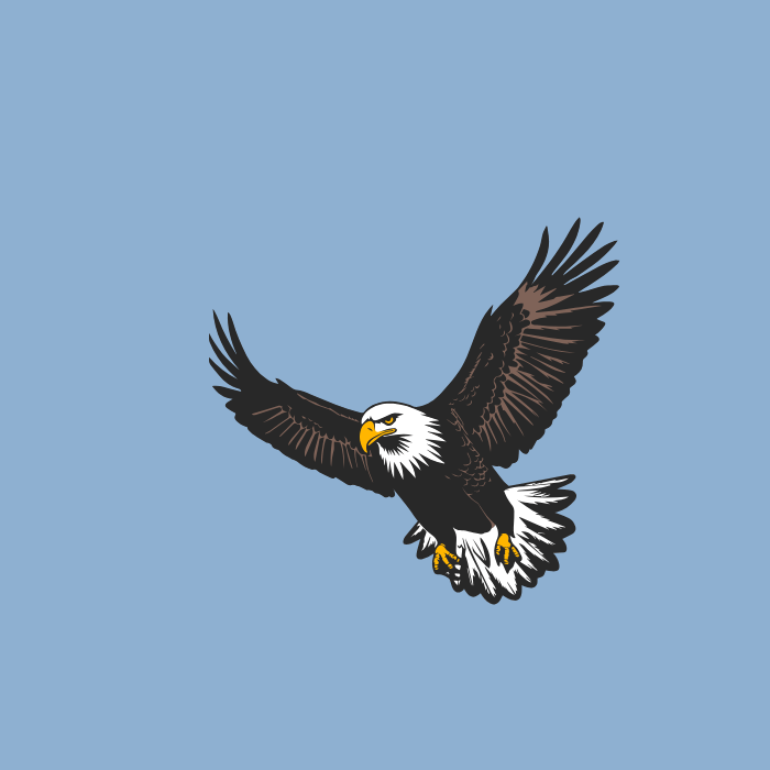 get ride after surgery eagle ridge hospital port moody